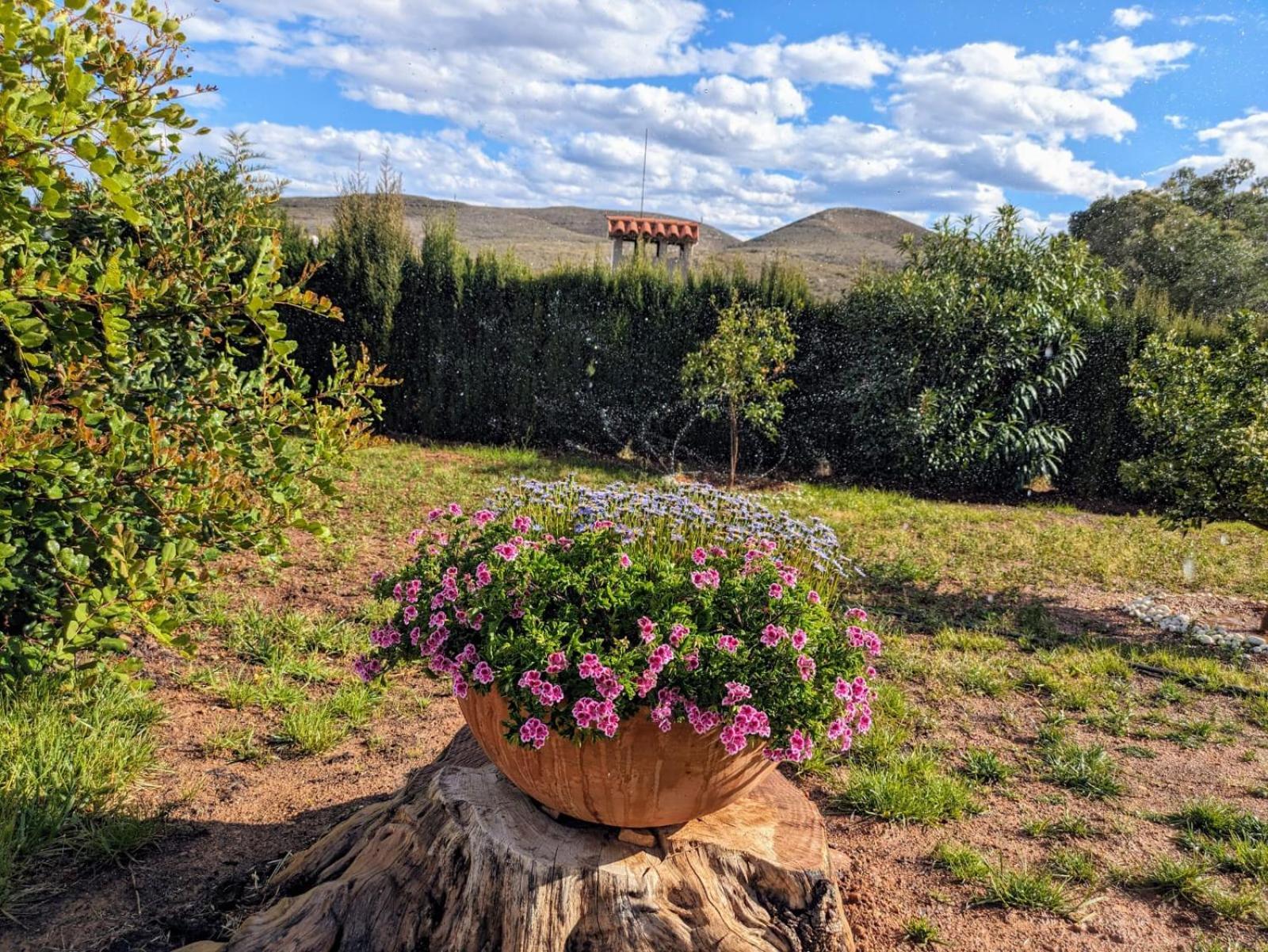 Turís Buen Estar, Piscina, Barbacoa, Jacuzzi En Valenciaヴィラ エクステリア 写真